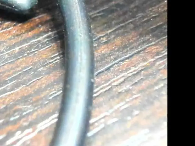 Offline alisa877 on BongaCams