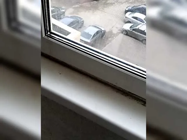 Offline doktorgirl on BongaCams