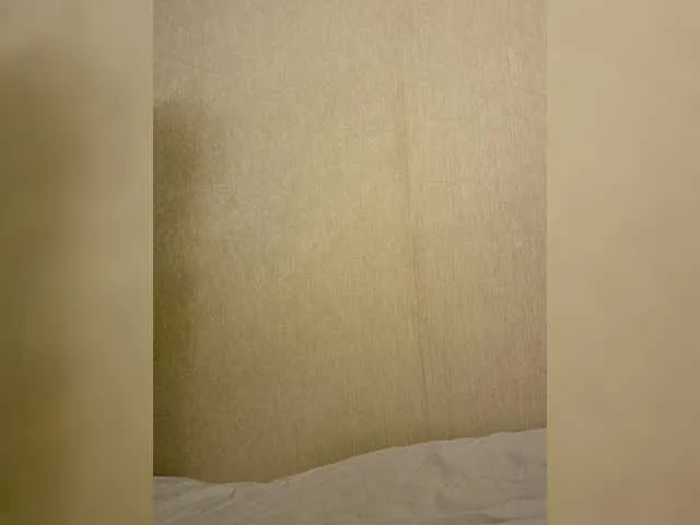 Enni1 —  , , ,,.
      , 