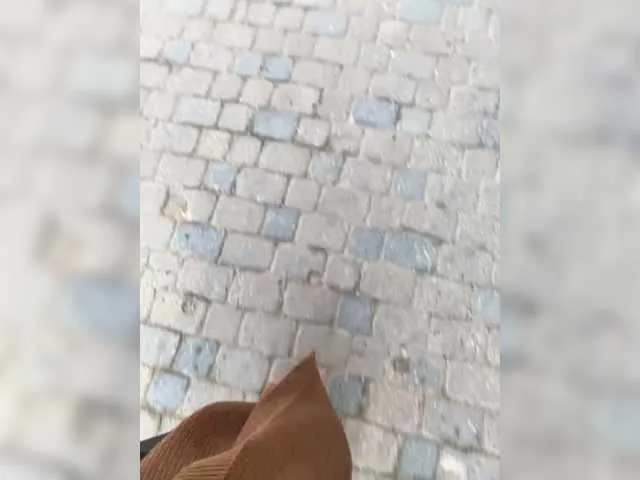 Freechat Lisa1225 on BongaCams