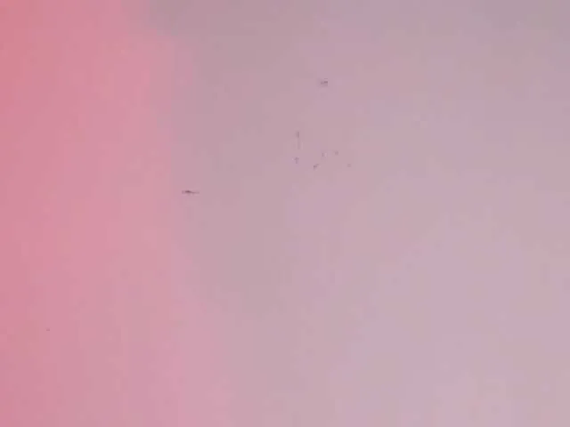 BongaCams Pamela-Velvet is Freechat Pamela-Velvet — Sound of tips $ -
Vibrations in my pussy -
To be #1