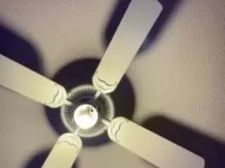 337babineaux on CamSoda 