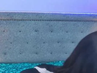 Offline jackynorris on CamSoda