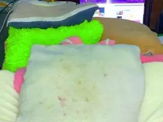 Offline kimera21333 on CamSoda