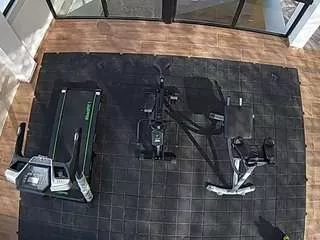 Freechat voyeurcam-casa-salsa-gym on CamSoda