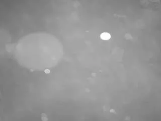 Freechat voyeurcam-casa-salsa-pool-1 on CamSoda