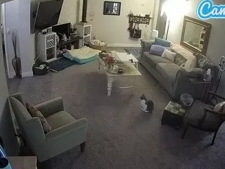 Offline voyeurcam-missoliviablack-03 on CamSoda