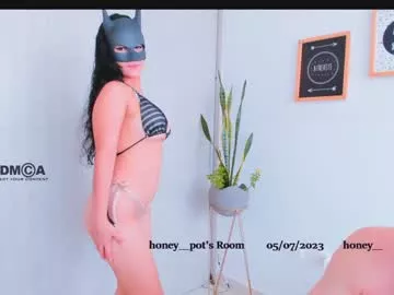 Offline h0ney__p0t on Chaturbate