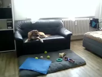 Freechat hanzik1954 on Chaturbate