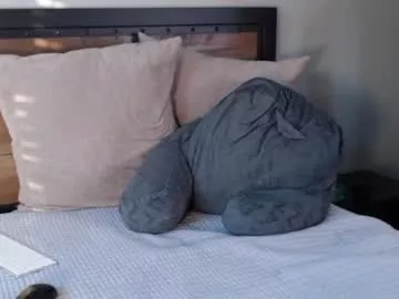 Offline strokinwonder on Chaturbate