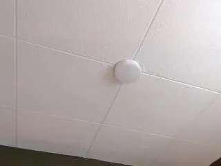 paul_cambel — Freechat on Flirt4Free