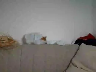 Flirt4Free simone_florenzi is Freechat simone_florenzi — Freechat on Flirt4Free