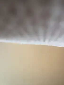 Offline blissdimicco on StripChat