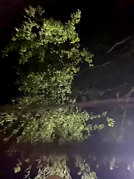 Offline Dasul_ on StripChat