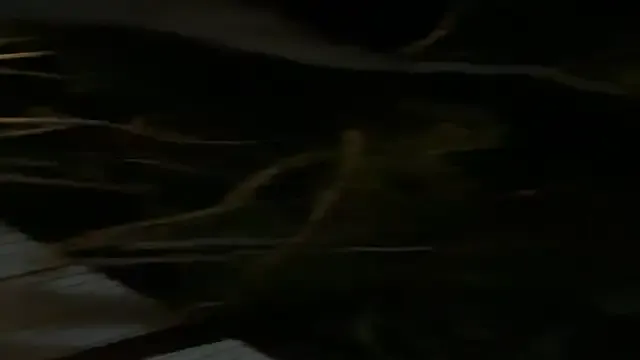 Offline frnk30151 on StripChat