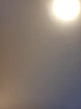 Offline Hornyblond_Bella on StripChat