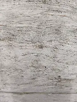 Group hot_plak on StripChat