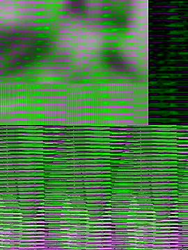 Offline LoveOnStream on StripChat