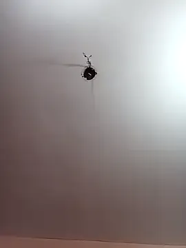 Freechat Megla879 on StripChat