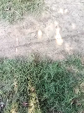 Freechat Mehta_seema on StripChat