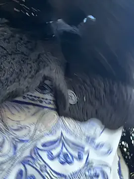 Offline raen001 on StripChat