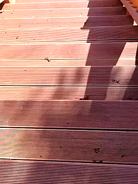 shaoshao-7758 — Freechat on StripChat