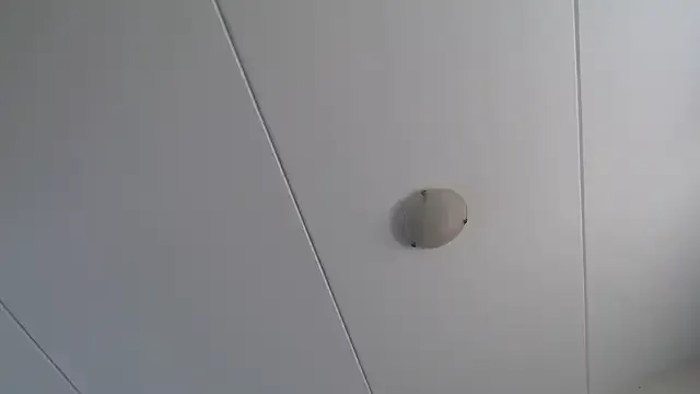 StripChat StupidNaturalPhatBooty_ is Freechat StupidNaturalPhatBooty_ — Booty spread and butt plug