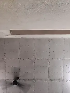 Offline Swapna_kannada on StripChat