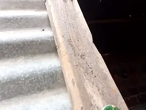 Offline tayson_ on StripChat